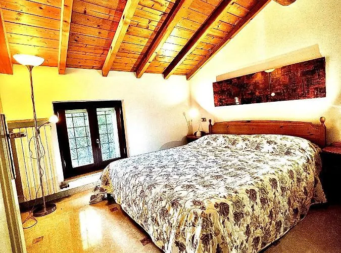 Welcome Traveller Arigoni *