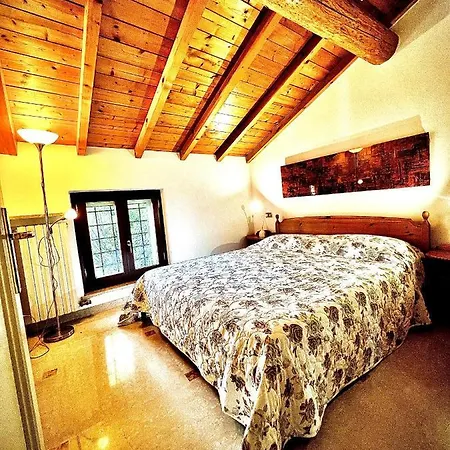 Welcome Traveller Arigoni *