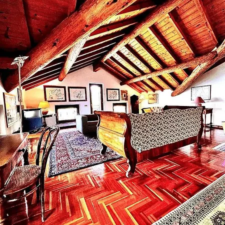 Welcome Traveller Arigoni *