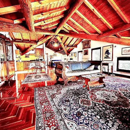 Welcome Traveller Arigoni *